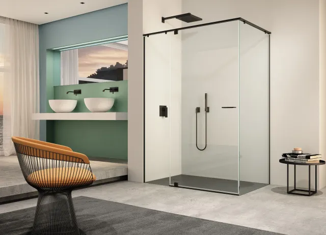 provex-iunix-iut-2-iuw-paroi-de-douche-pivotante-inox-316l image 1