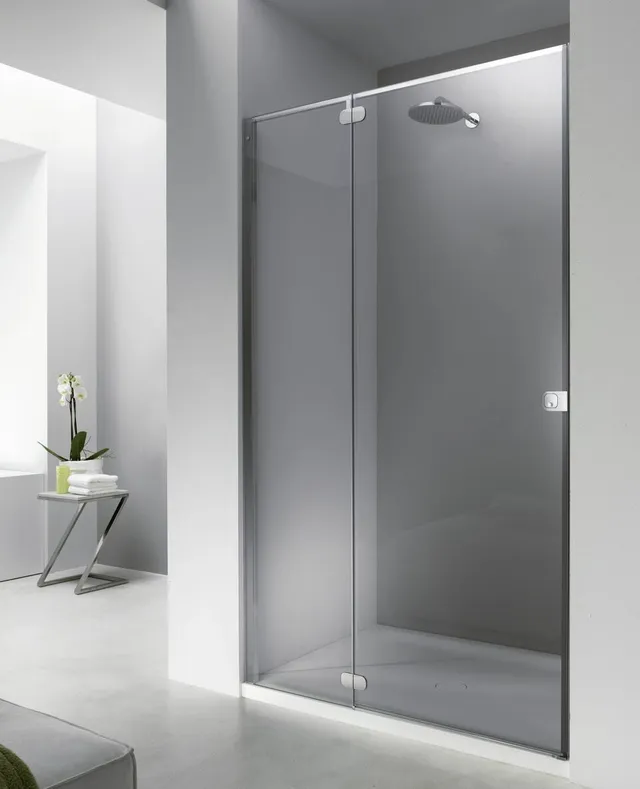 provex-e-lite-flat-fn-fb-paroi-de-douche-verre-8-mm image 1