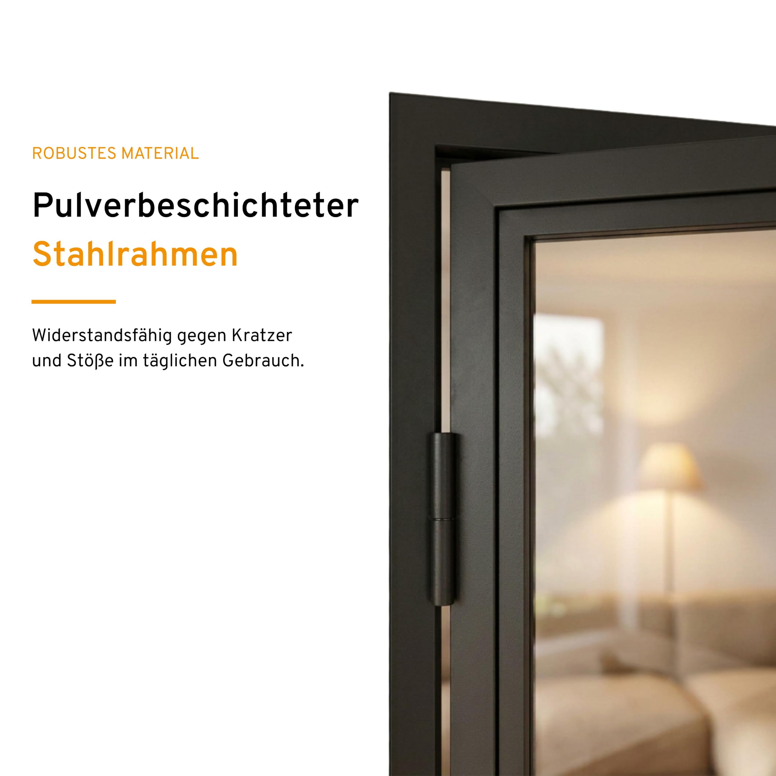 schulte-porte-loft-verre-90x215-cm-noir-tirant-droit image 4