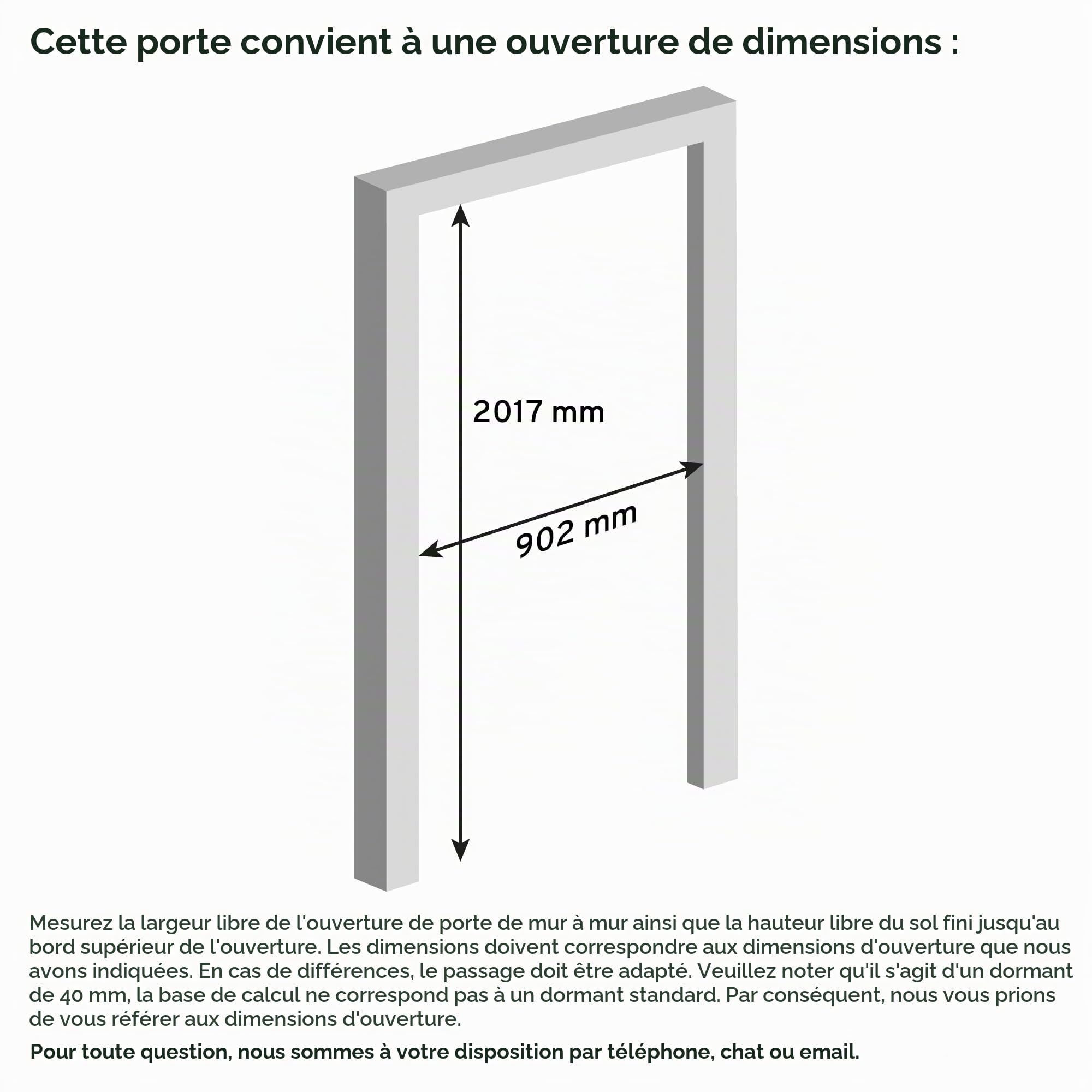 schulte-porte-int-rieure-loft-834x1972-mm-verre-satin-noir image 2