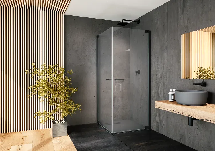 provex-e-lite-ee-porte-de-douche-2000-mm-minmax-90-mm image 1