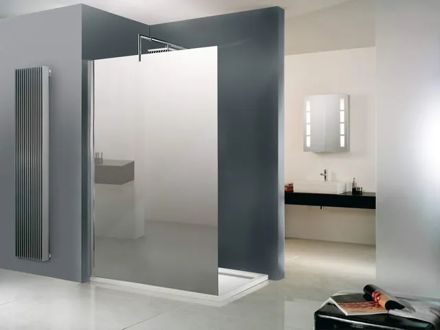 schulte-d120120-f-paroi-de-douche-miroir-chrom-120x200-cm image 1