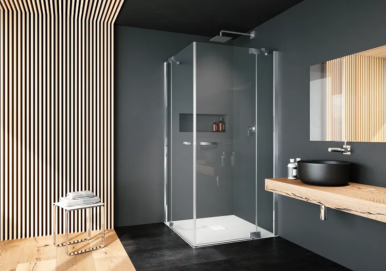 provex-e-lite-ee-2-porte-de-douche-2000-mm-relevage-actif image 1