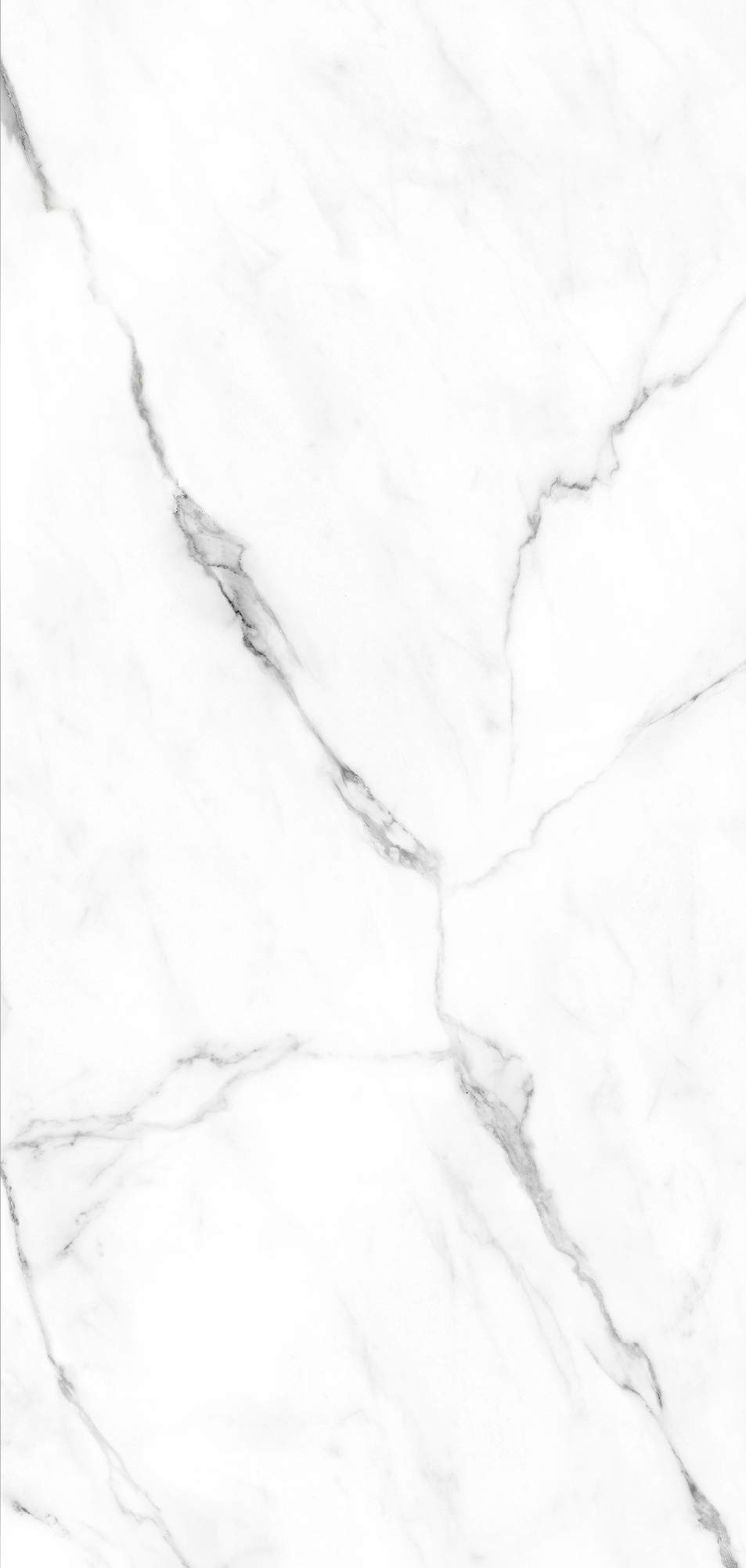 schulte-d-codesign-panneau-mural-100x210-cm-marbre-carrare-brillant image 2