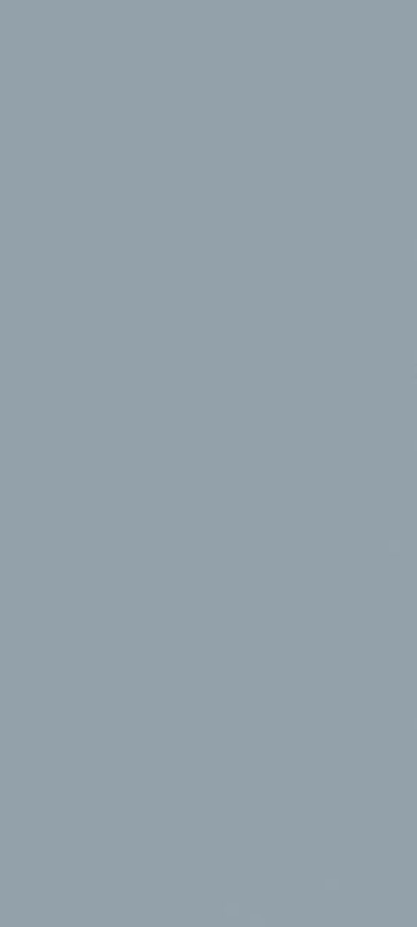 schulte-d-codesign-panneau-mural-90x210-cm-gris-argent image 3
