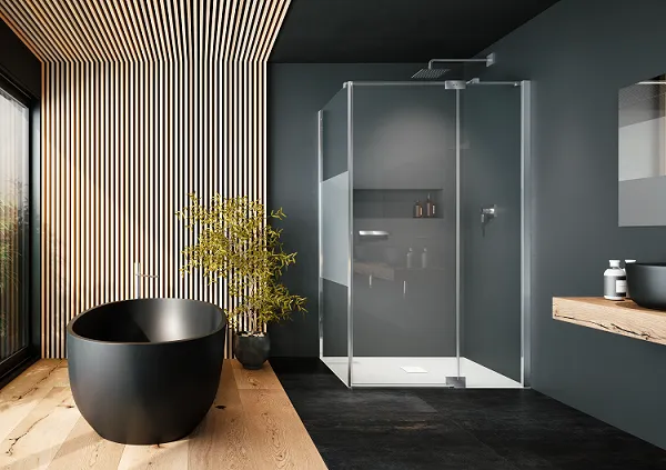 provex-e-lite-et-2-ew-paroi-de-douche-2000-mm image 1