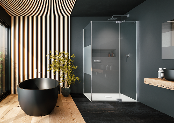 provex-e-lite-et-2-ew-paroi-de-douche-2000-mm image 1