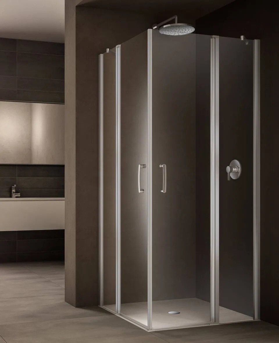 provex-look-le-cabine-de-douche-battante-1950-mm-verre-6-mm image 1